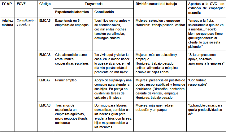 Trayectoria
laboral y familiar de trabajadoras de cuello azul (continuación)